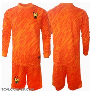 Francia Portiere Seconda Maglia Bambino Europei 2024 Manica Lunga (+ Pantaloni corti)